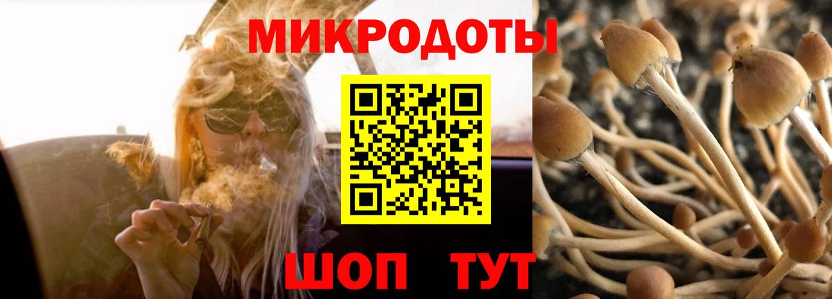 Галлюциногенные грибы ЛСД  Вход с VPN  Будённовск 